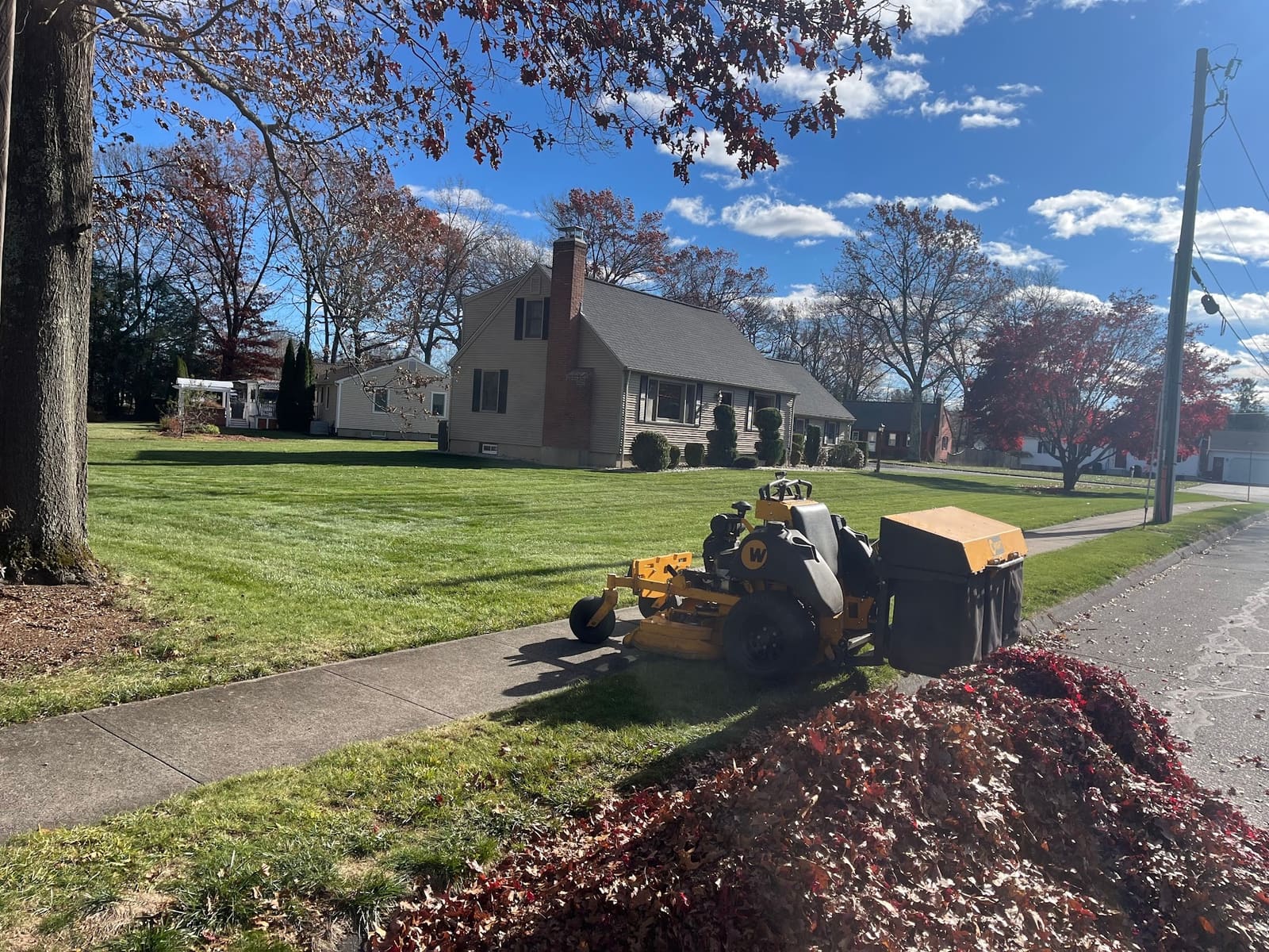 Fall Cleanup from Southington Lawn Service