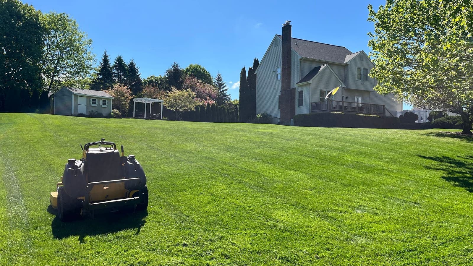 Lawn maintenance service